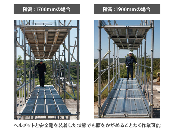 サンプル画像